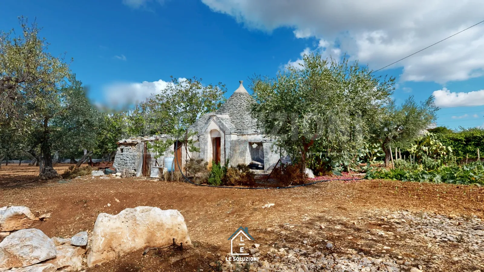 Trullo a doppio cono immerso tra gli ulivi con deposito interrato