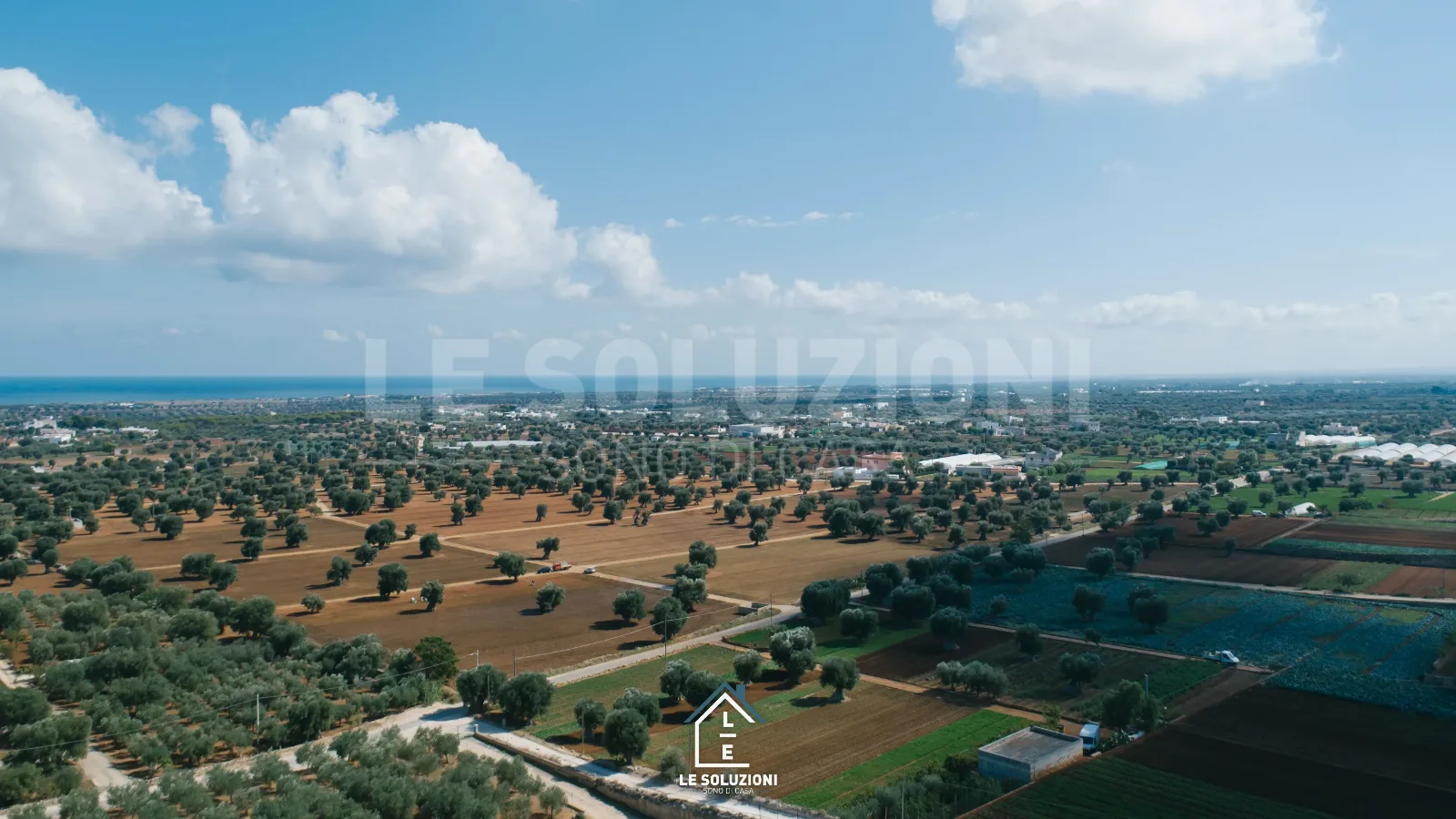 Prelazione agraria: cosa devi sapere se compri un terreno